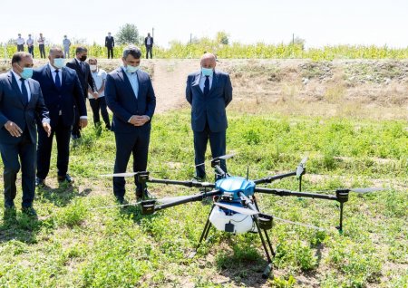Azərbaycanda ilk dəfə qarğıdalı sahələri dronlar vasitəsilə dərmanlanıb