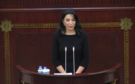 Azərbaycan Ombudsmanı bəyanat yaydı