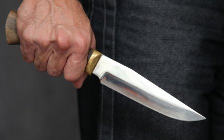 Fransada kişi bıçaqla üç polisi yaraladı