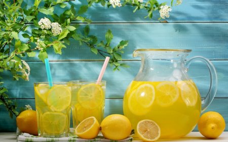 Limonlu suyun faydalı xüsusiyyətləri AÇIQLANDI