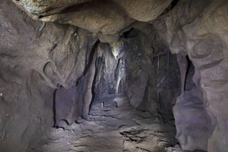 Arxeoloqlar 40 min il əvvəl neandertal insanların yaşadığı mağaranı kəşf ediblər