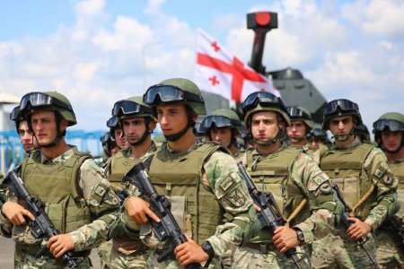 Gürcüstan Litva və Çexiya ilə hərbi əməkdaşlıq edəcək