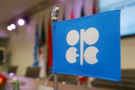 OPEC: Ukraynadakı hərbi münaqişə neft istehlakının və investisiyaların azalmasına səbəb olacaq