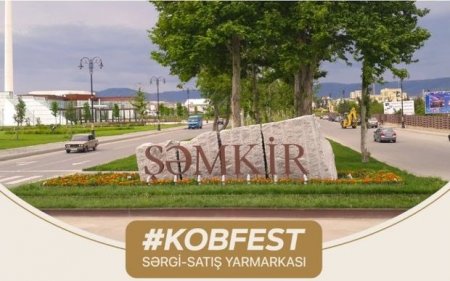 Şəmkirdə “KOB Fest” sərgi-satış yarmarkası keçiriləcək - FOTO