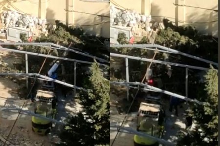 Bakıda Nizami rayonunda ağacları kəsdilər: ARAŞDIRMA BAŞLANDI - YENİLƏNİB