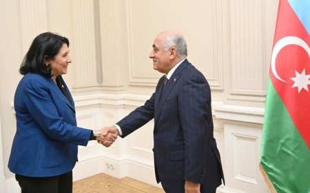 Əli Əsədov Tbilisidə Gürcüstan Prezidenti ilə görüşüb - YENİLƏNİB + FOTO/VİDEO