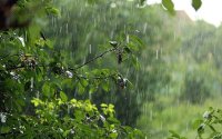 Bölgələrdə arabir qısamüddətli yağış yağıb, şimşək çaxıb - FAKTİKİ HAVA