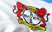 "Qarabağ"ın UEFA Kubokunu qazanmış rəqibi: Bundesliqada gümüş medallarla kifayətlənən "Bayer 04"