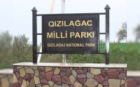 Xidmət rəisi: “Qızılağac Milli Parkında vəziyyət əvvəlki illərdən qat-qat yaxşıdır”