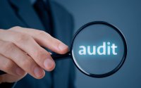 Maliyyə Monitorinqi Xidməti auditor seçir