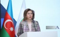 Bahar Muradova: Azərbaycanda qadınların iştirakçılığının artırılması istiqamətində ciddi işlər görülür